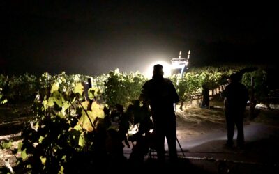 Sonoma Harvest 2018 – Part 1 “The Night”